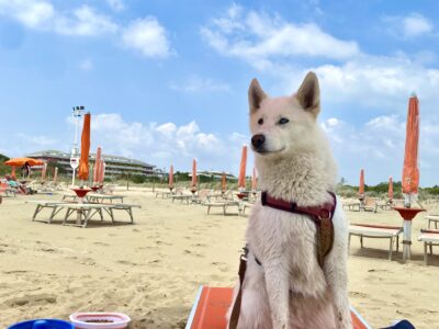 Lino Delle Fate Eco Village Resort – Bibione