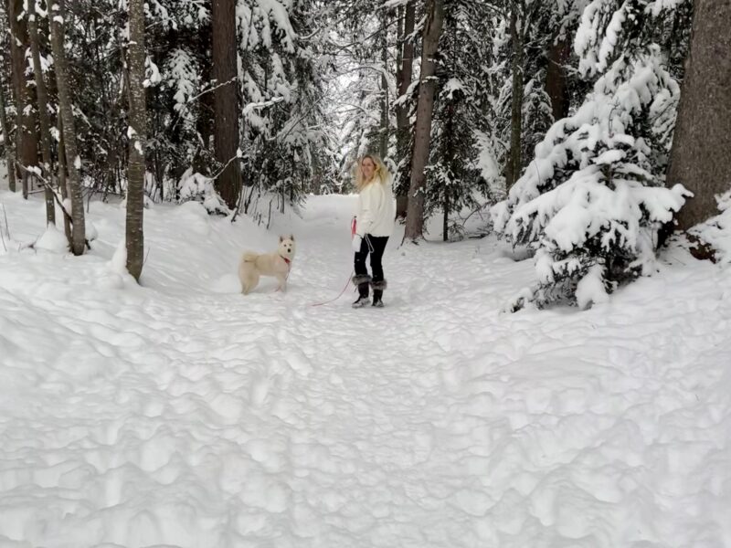 Hundehotel Almfrieden – Hotel & Romantikchalet