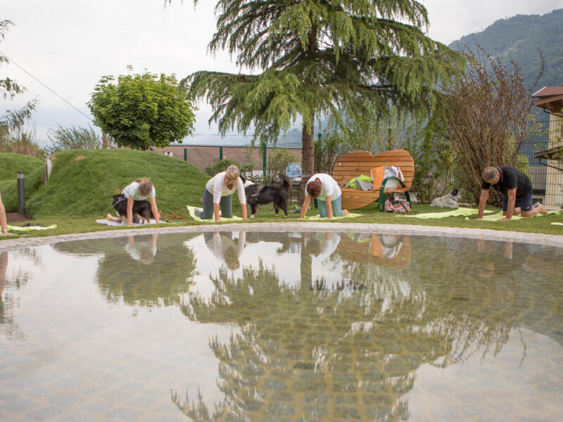 Hotel Magdalena – 4Sterne-Hundehotel Zillertal