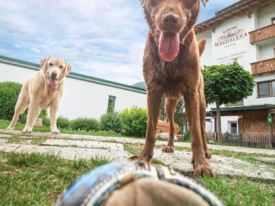 Hotel Magdalena – 4Sterne-Hundehotel Zillertal