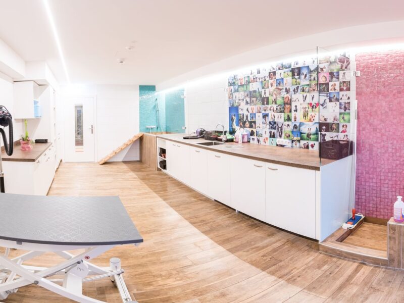 Hotel Magdalena – 4Sterne-Hundehotel Zillertal