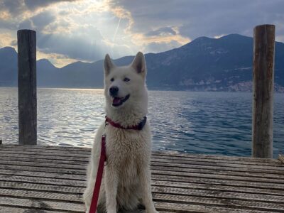 Hotel Orione, Brenzone (Gardasee)