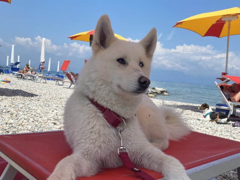 Hotel Orione, Brenzone (Gardasee)