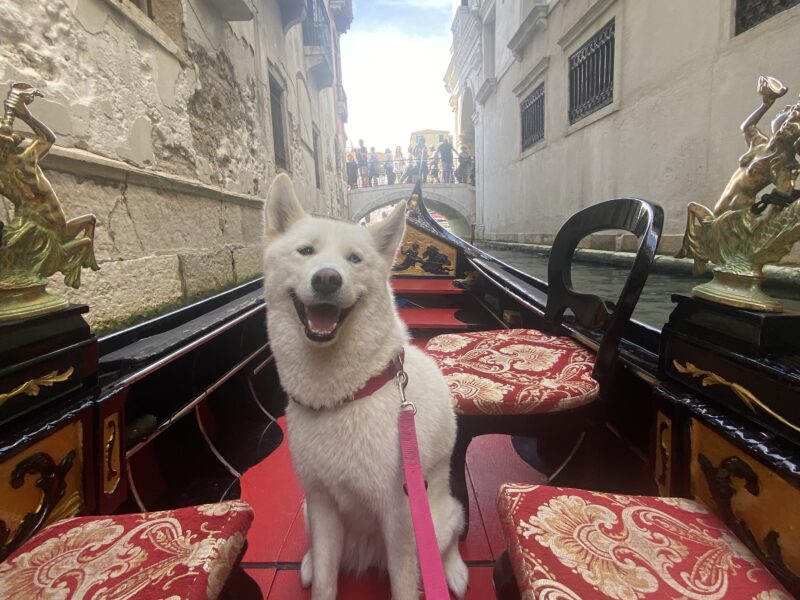 Hotel Orione, Brenzone (Gardasee)