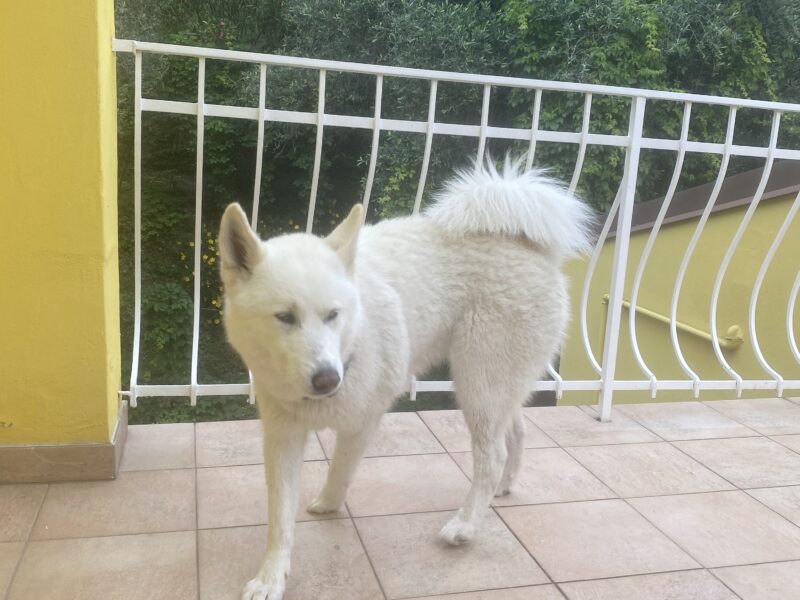 Hotel Orione, Brenzone (Gardasee)