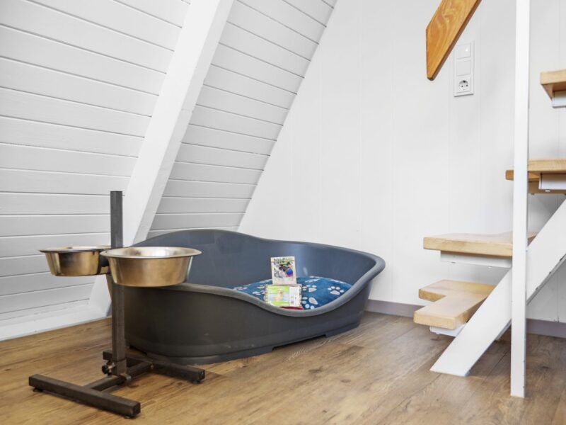 Ferienhäuser Hochwald 6-Personen-Hunde-Ferienhaus 6BD