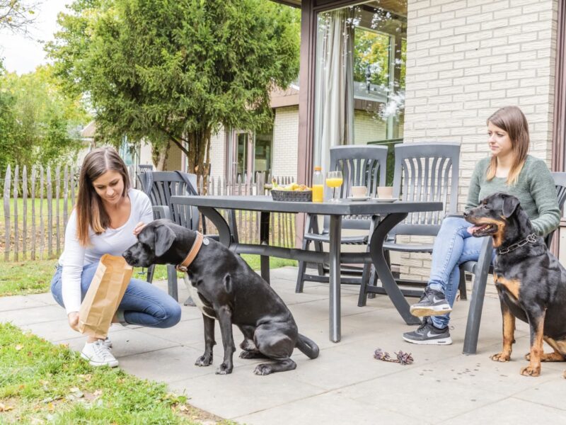 Ferienhäuser Hochwald 6-Personen-Hunde-Ferienhaus 6CD
