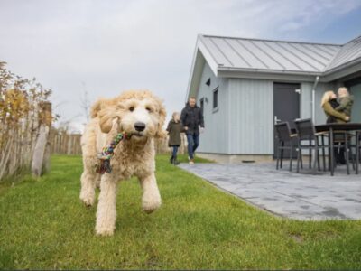 Roompot Beach Resort Nieuwvliet-Bad Hondenlodge 6