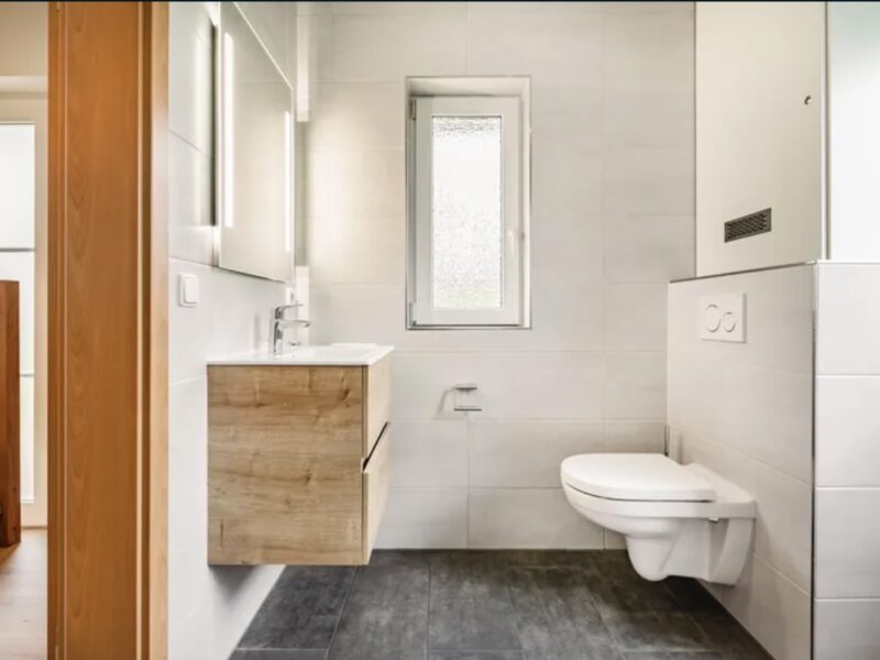 Hunde-Ferienhaus 4CD1 Dwergter Sand