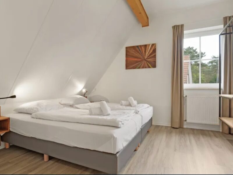 Hunde-Ferienhaus 8CD1 Landal Dwergter Sand