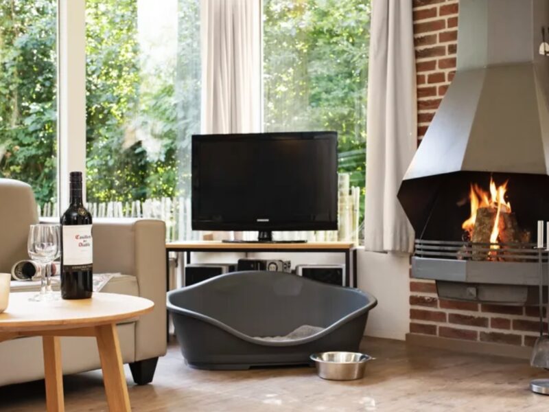 Hunde-Ferienhaus 6CD, Landal Aelderholt