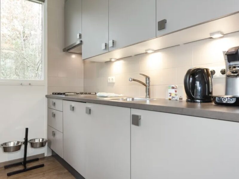 Hunde-Ferienhaus 6CD, Landal Aelderholt