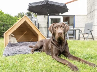 Hunde-Villa 4CD im Beach Resort Ooghduyne