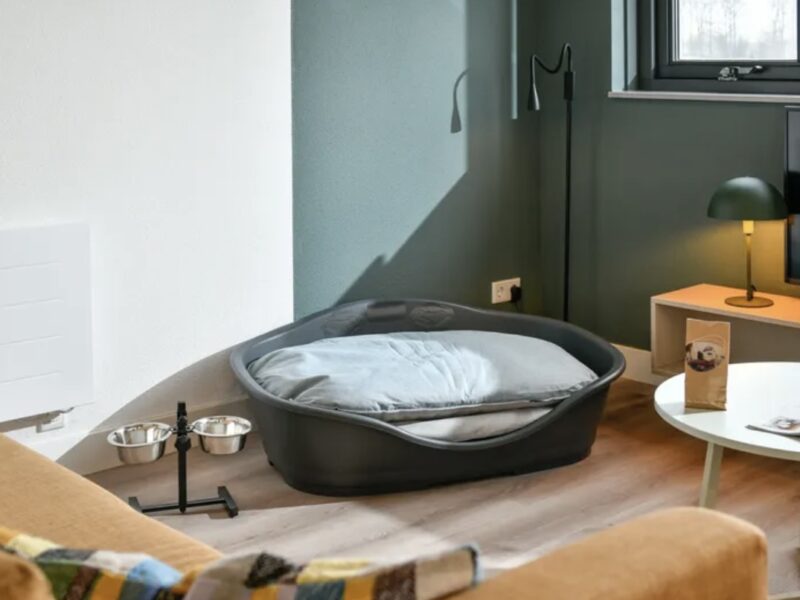 Ferienhäuser Drentse Lagune 6CD