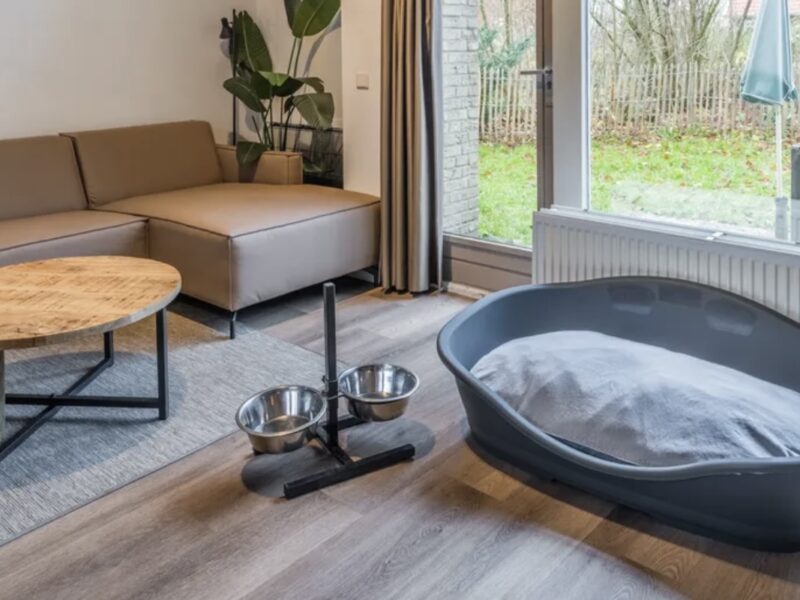 Ferienhäuser Stroombroek 4CD