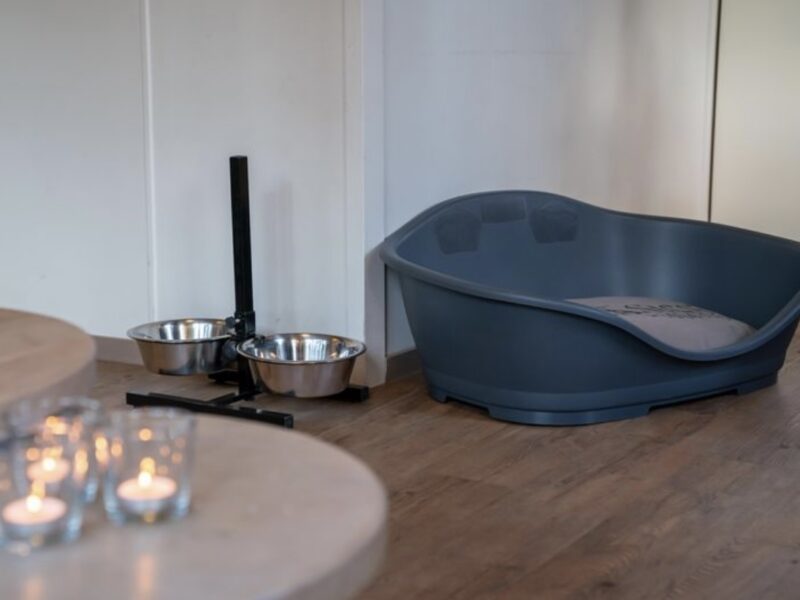 Village l'Eau d'Heure 4CD