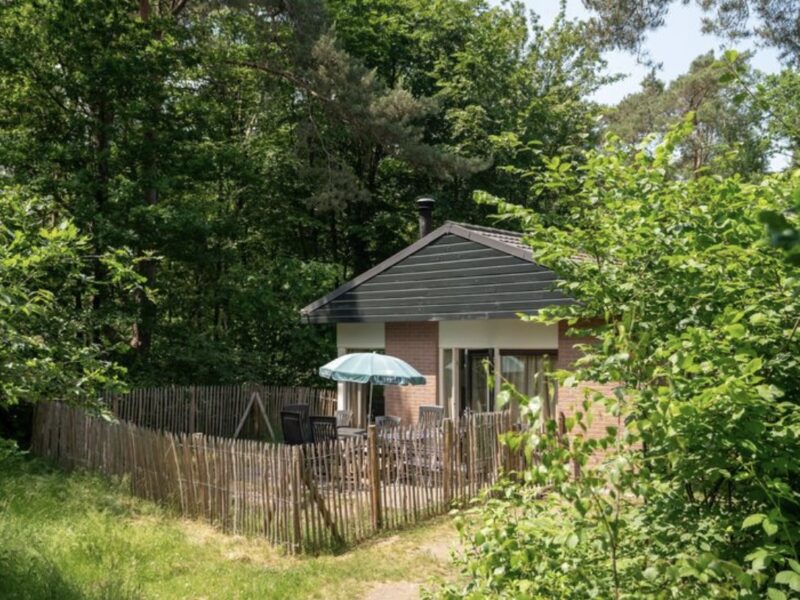 Ferienhäuser Heideheuvel 6CD