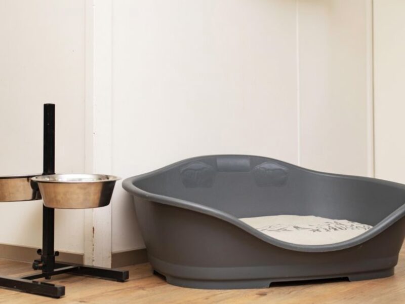 Ferienhäuser Heideheuvel 6CD