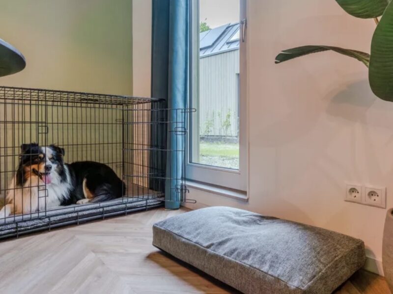 Ferienhäuser Olde Kottink 4LD