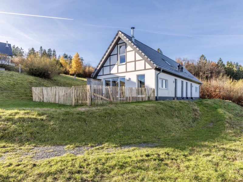 Hunde-Ferienhaus Winterberg 6CD