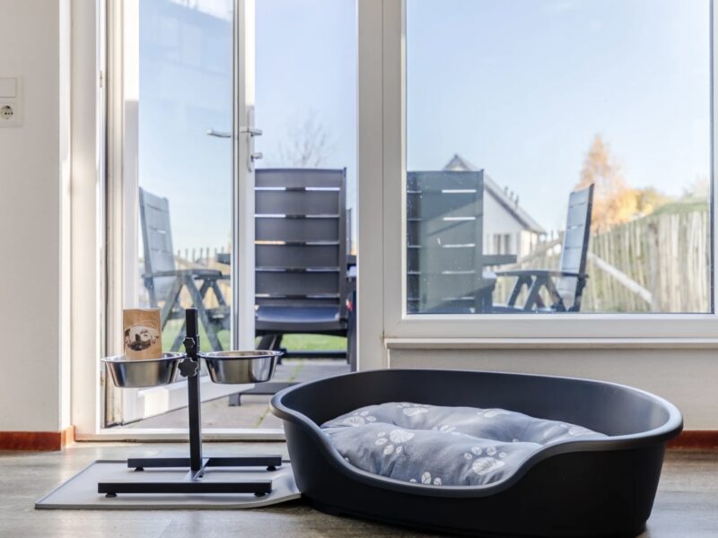 Hunde-Ferienhaus Winterberg 6CD