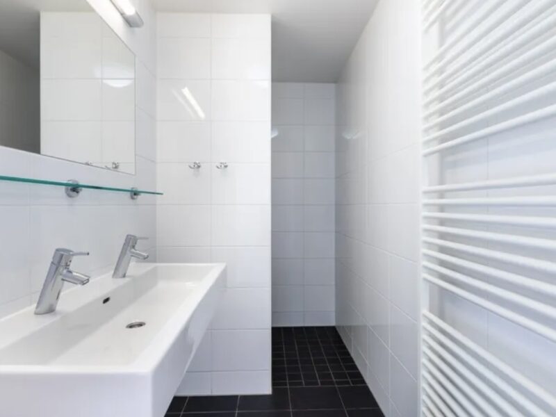 Hundeferienhaus Winterberg 8CD